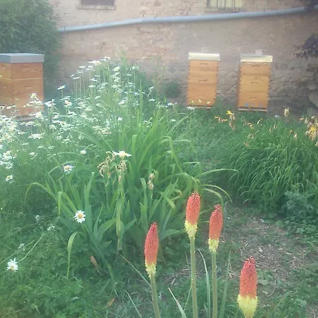 Apartamento Gutendorf