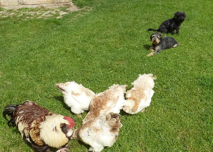 Apartment Gutendorf Bad Berka